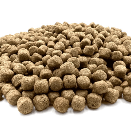 Koi Multi Season 6 mm 1000 g ( hrană pentru pești - primăvară, toamnă )