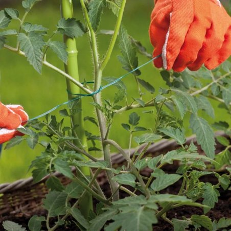 Sârmă de legat verde, plată, cu înveliș de plastic 20m