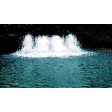 Aerator apa Paddle Wheel (PAD-3.0) 2200w 380V