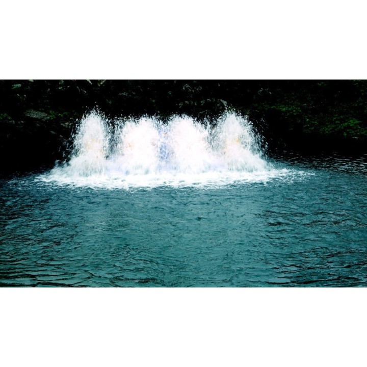 Aerator apa Paddle Wheel (PAD-3.0) 2200w 380V