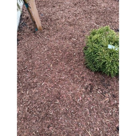 Scoarță decorativă de pin Borovi substrat 60L