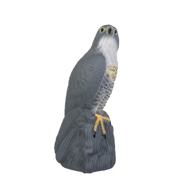 Soim 40cm