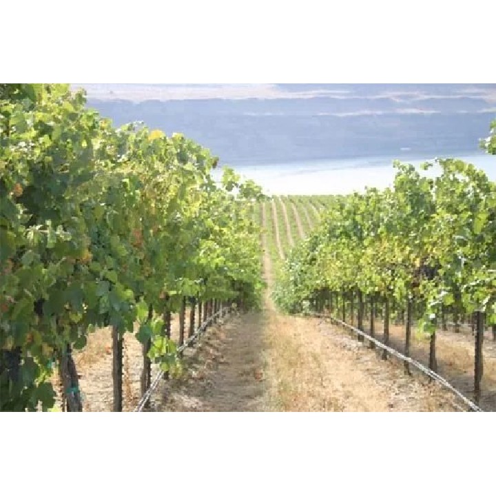 Țeavă de picurare PC Dynomac PC DN 16 mm 100 cm, 2 l/h, 400 m compensată de presiune (poate fi pozată și subteran)