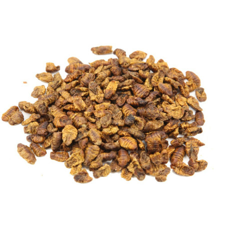 Viermi de matase uscate 400 g