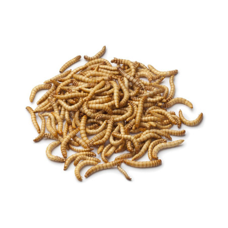 Viermi de faina uscate 1000 g