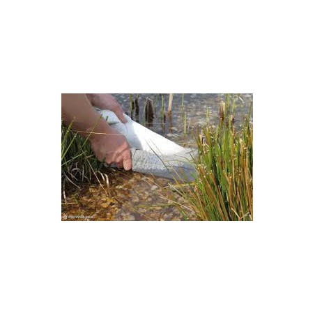 OASE Tuburi Aqua Activ Phosless