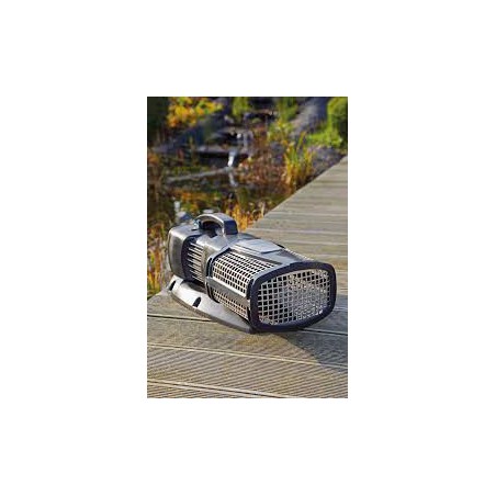 AquaMax Eco Expert 20000 /12 V