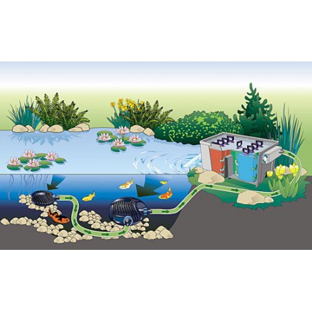 OASE BioSmart 36000