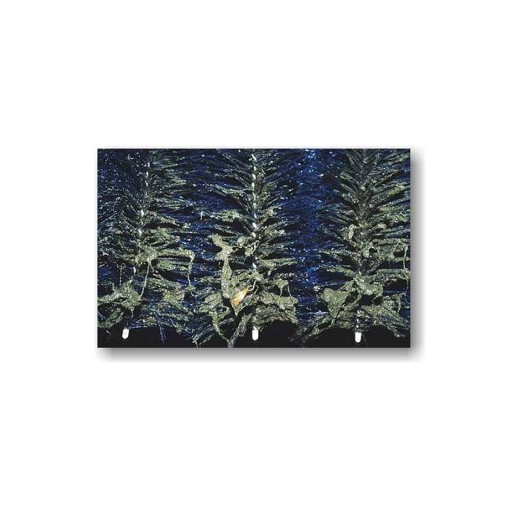 Standard perie filtru (60x15 cm)