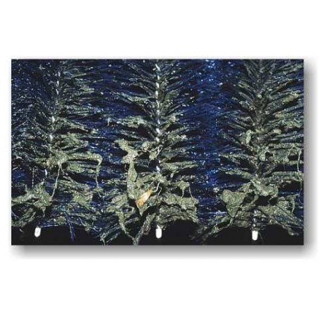Standard perie filtru (70x15 cm)