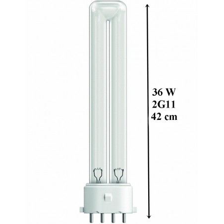 Philips 2G11 (36W) UVC bec