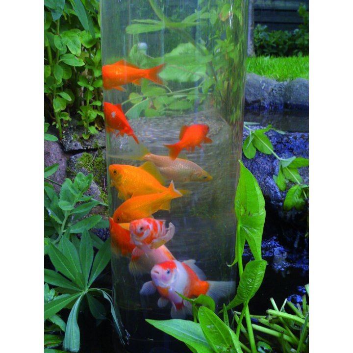 Turnul de observare pesti din iaz  100cm (FishTower- Ubbink)