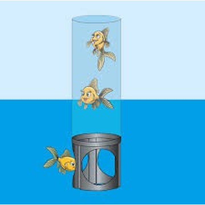 Turnul de observare pesti din iaz  100cm (FishTower- Ubbink)