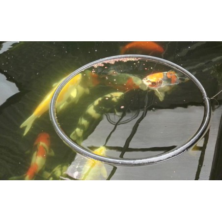 Hranitor pesti plutitor mic (30cm-feeder ring)