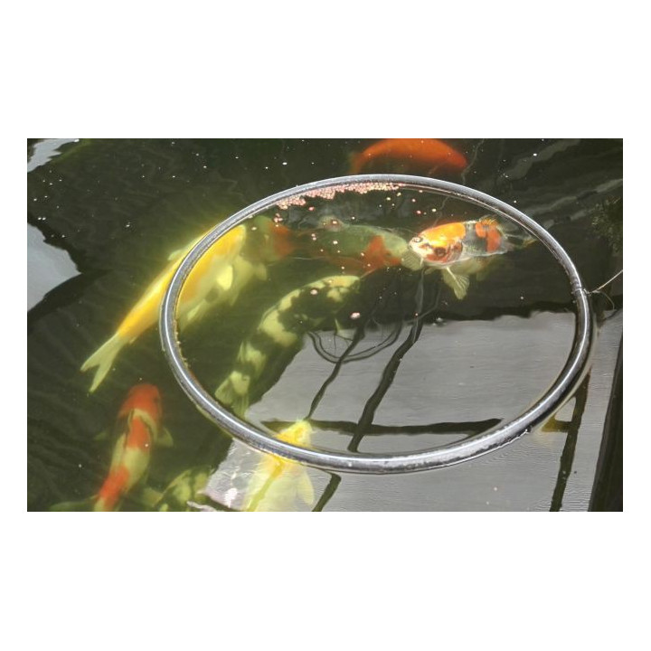 Hranitor pesti plutitor mic (30cm-feeder ring)