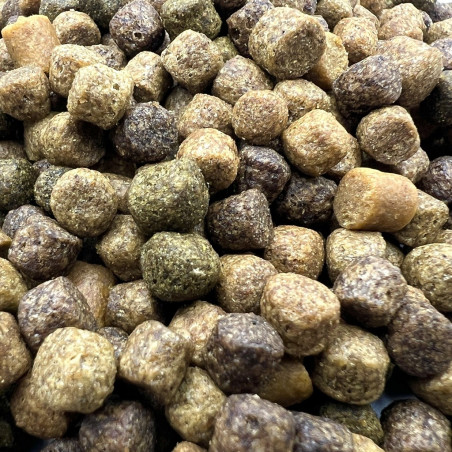 Koi Food Japonez Mix japonez plutitor 6 mm ( 2 kg )