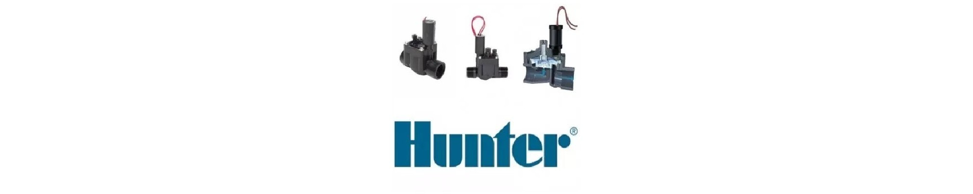 Electrovane Hunter