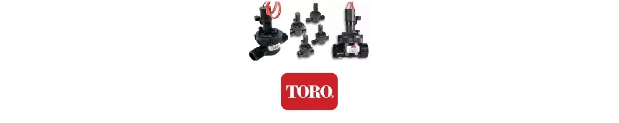 Electrovane Toro