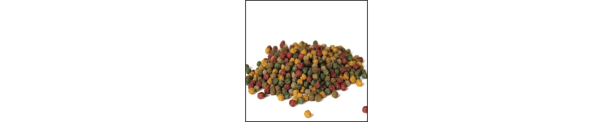 Hrana pentru pesti Coppens Premium
