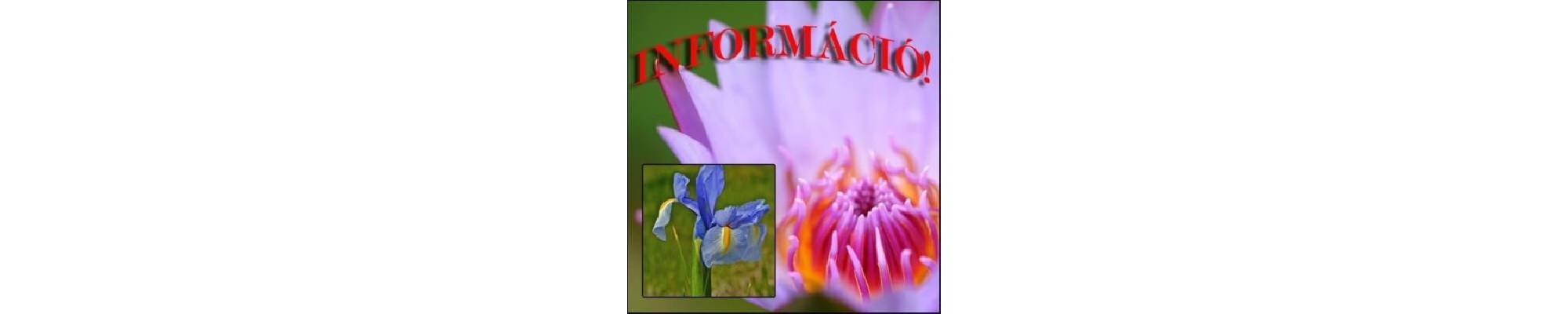 INFORMATII