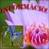 INFORMATII