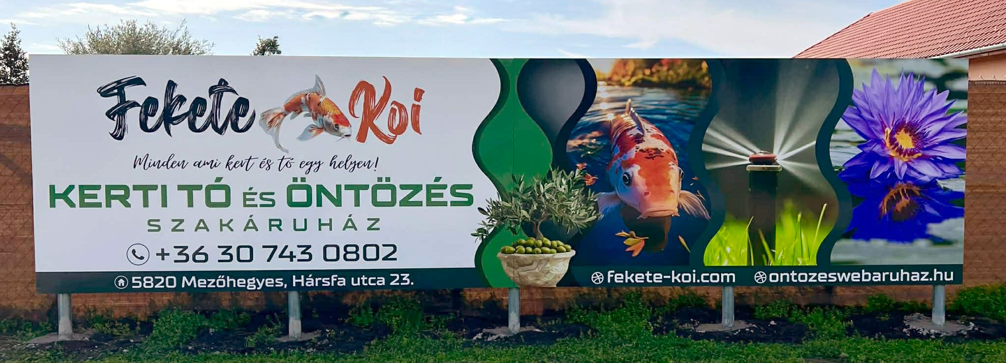 Poartă intrare